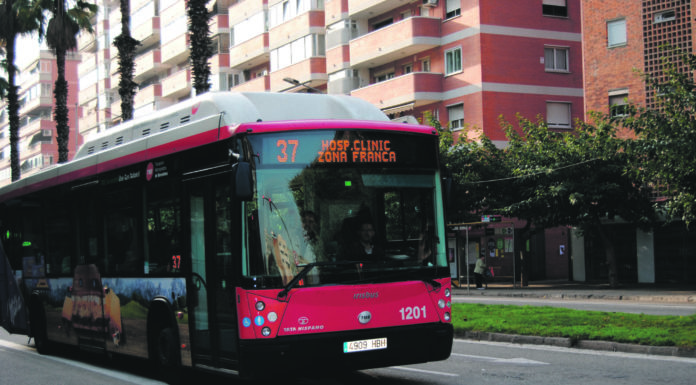 Busos de La Marina. Quedarem desconnectats sense el 37
