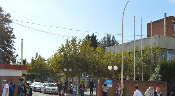 Frustració i desorientació: els joves lluiten per una feina