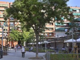 Un macrooperatiu als Jardins de la Mediterrània precinta dos locals