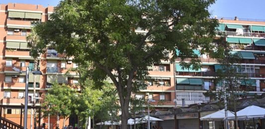 Un macrooperatiu als Jardins de la Mediterrània precinta dos locals