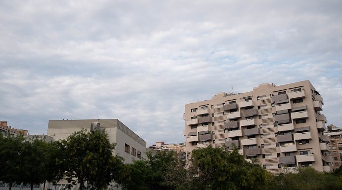 Rusc de vespa asiàtica a l’antic concessionari Nissan