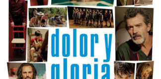 “Com pot ser que el meu cinema agradi tant a Islàndia?”.Salvador Mallo (Antonio Banderas)