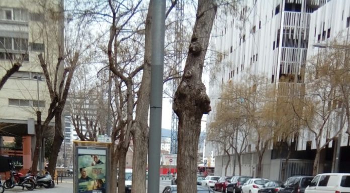 Comencen les obres per eixamplar la vorera del Carrer de la Química