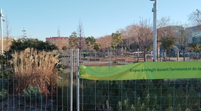 LES CUES DE LA FAM D’HABITATGE /i 4