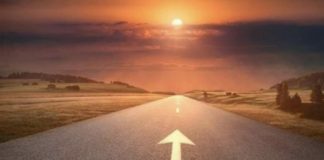 Les 5 imprescindibles pel 2019