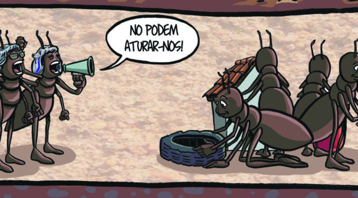 Les denúncies dels veïns de la Marina el mes de novembre