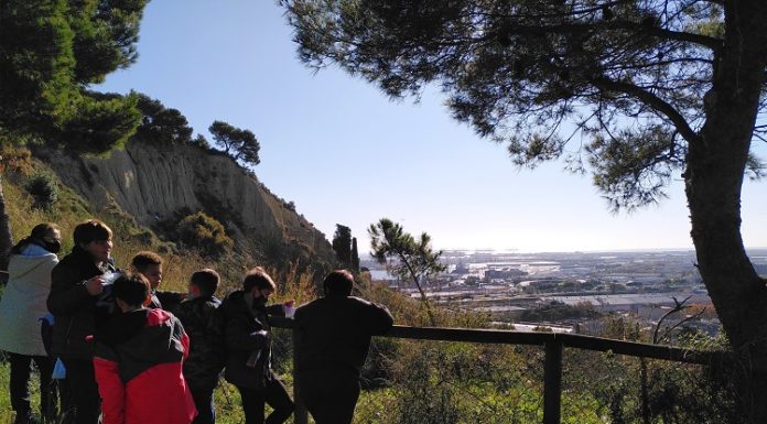 Lluitar contra el canvi climàtic amb els teus veïns