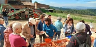 Catalunya celebra la Setmana Bio amb més de 450 activitats