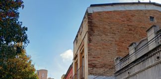 Quants arbres veus des de la teva finestra?