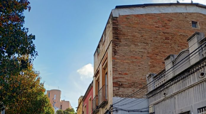 Quants arbres veus des de la teva finestra?