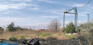 La tortuga solitària: Crònica d’una visita a l’antic camp de golf de Montjuïc