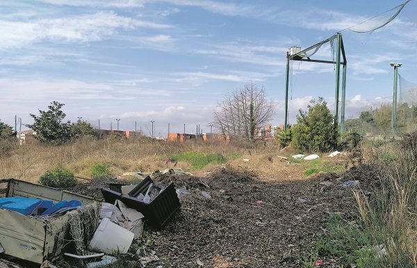 La tortuga solitària: Crònica d’una visita a l’antic camp de golf de Montjuïc