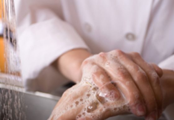 Higiene i conservació d’aliments