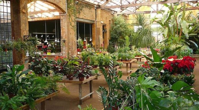 L’Hivernacle de Sants tanca per impagaments de l’arrendatari