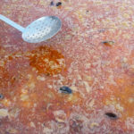 trobada barris de barraques