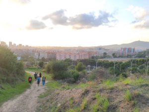 Pujada al Camí de l’Esparver, una reflexió sobre els canvis de la vegetació a la muntanya de Montjuïc
