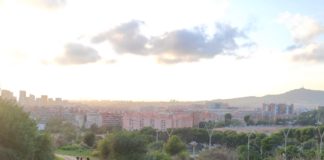 Pujada al Camí de l’Esparver, una reflexió sobre els canvis de la vegetació a la muntanya de Montjuïc