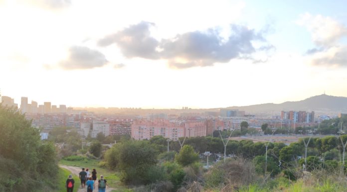 Pujada al Camí de l’Esparver, una reflexió sobre els canvis de la vegetació a la muntanya de Montjuïc