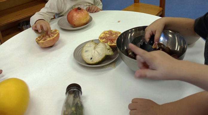 Un infant que descobreix el món amb curiositat