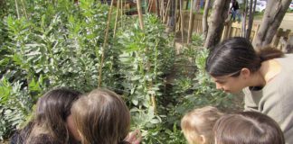 L’hort, una oportunitat de vida al barri Escola bressol Bellmunt