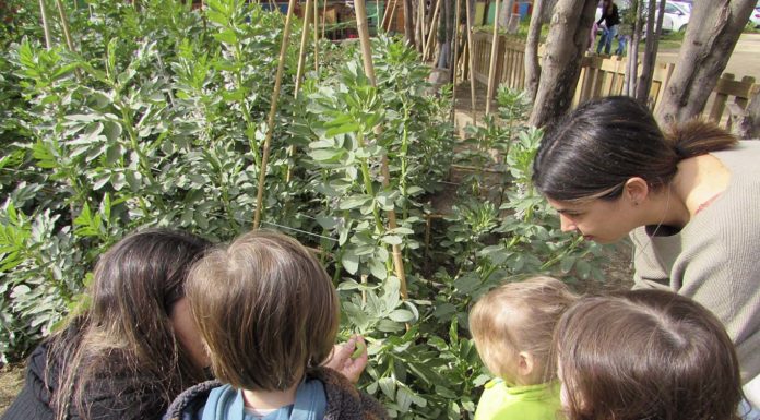 L’hort, una oportunitat de vida al barri Escola bressol Bellmunt
