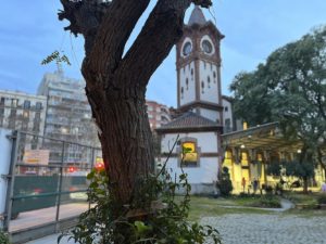 L’espai natural de Magòria en perill d’extinció