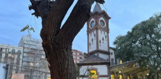 L’espai natural de Magòria en perill d’extinció