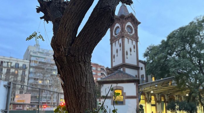 L’espai natural de Magòria en perill d’extinció