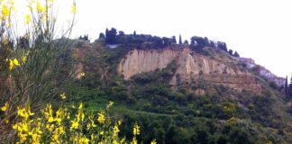 El districte de Sants Montjuïc prepara dues activitats sobre la naturalesa al barri