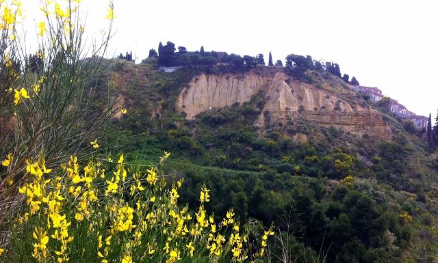 El districte de Sants Montjuïc prepara dues activitats sobre la naturalesa al barri