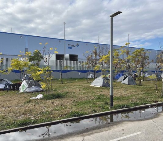 Carrer Número 2, l’odissea continua