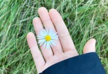 Arriba la primavera… I també el cansament?