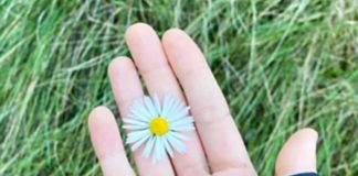 Arriba la primavera… I també el cansament?