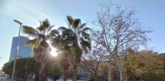 Noms per recordar a diari