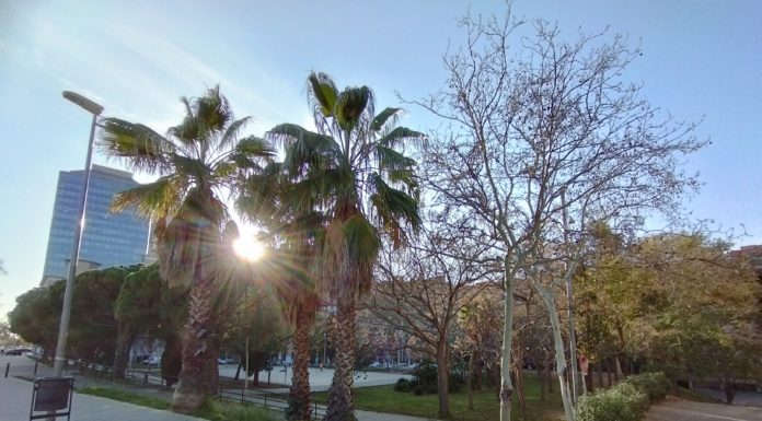 Noms per recordar a diari