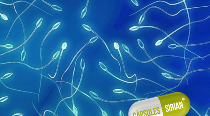 Càpsules Sirian: Marxa enrere #10