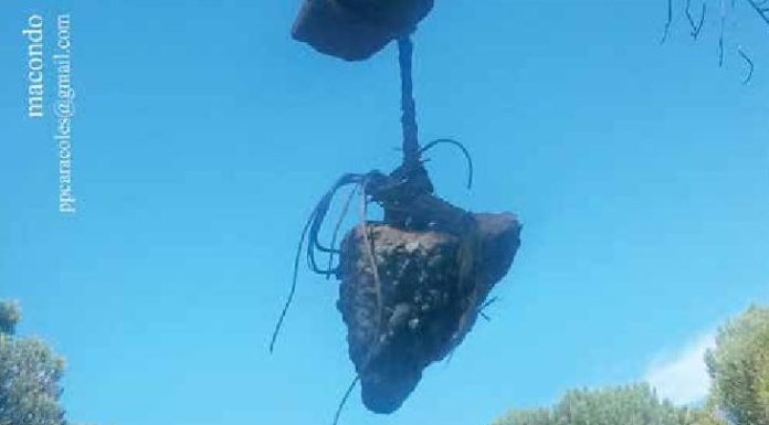 La señora Plunkett de Ohio nunca dejó que su marido Roy J. fregara las sartenes…