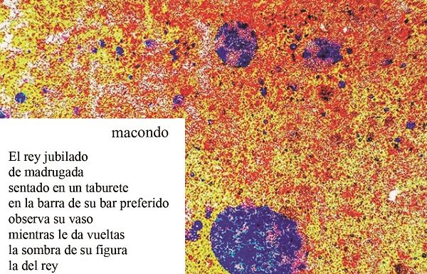 Editorial: 2021… articular des dels barris