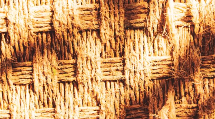 No votar no és cap opció. S’ha de votar.