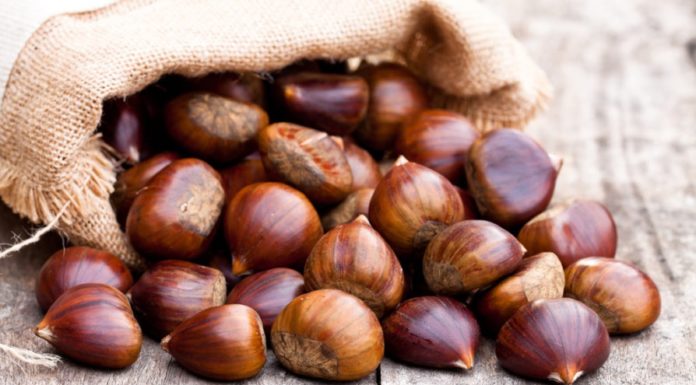 Les magranes, les carabasses i les castanyes