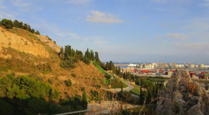 El districte de Sants Montjuïc coordina dues passejades per conscienciar sobre la importància de la naturalesa al barri