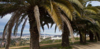 Trobades a Montjuïc dues joves desaparegudes, de Badalona