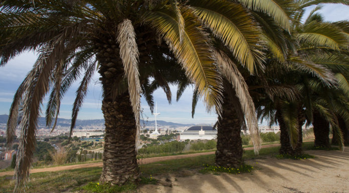 Trobades a Montjuïc dues joves desaparegudes, de Badalona