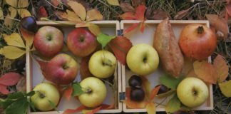 Guía ràpida per gaudir del Nadal de manera saludable