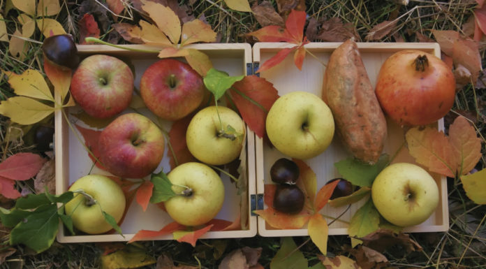 Guía ràpida per gaudir del Nadal de manera saludable