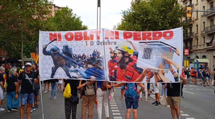 La Diada de la protesta