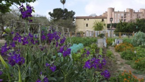 Can Mestres, una granja urbana per aprendre i recuperar sabers