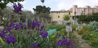 Can Mestres, una granja urbana per aprendre i recuperar sabers