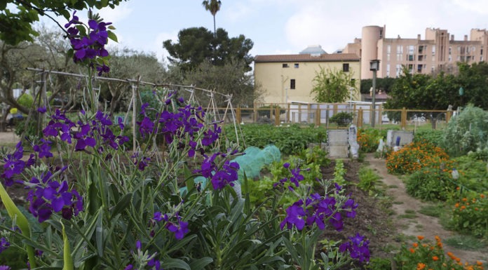 Can Mestres, una granja urbana per aprendre i recuperar sabers