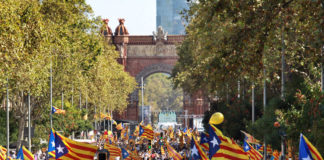 Galeria de fotos de la diada